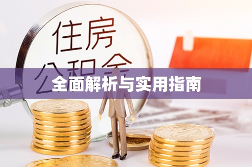 忻府全面解析与实用指南