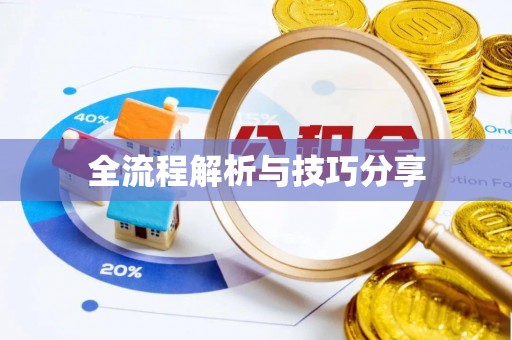 忻府全流程解析与技巧分享